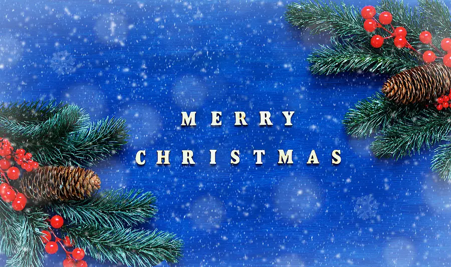 merry-christmas-everyone-from-tax-rebate-services-tax-rebate-services